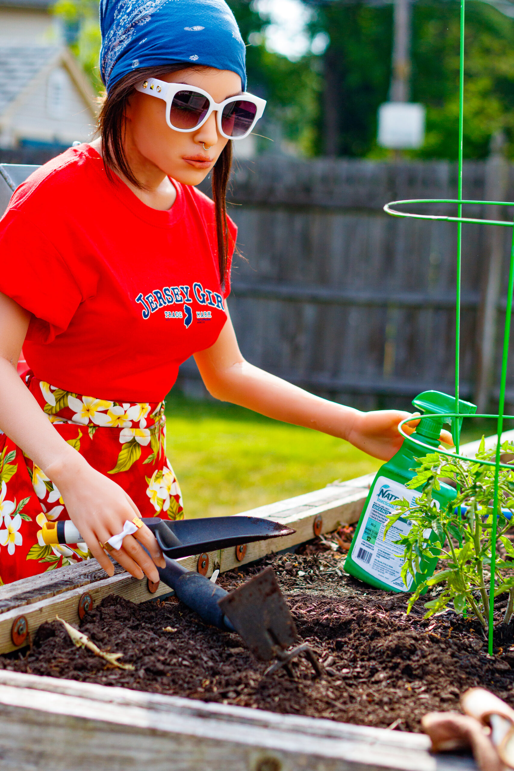 Jersey Tomatoes